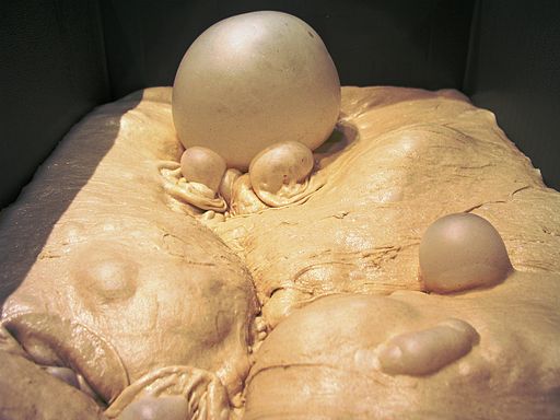 Fermented dough!.JPG