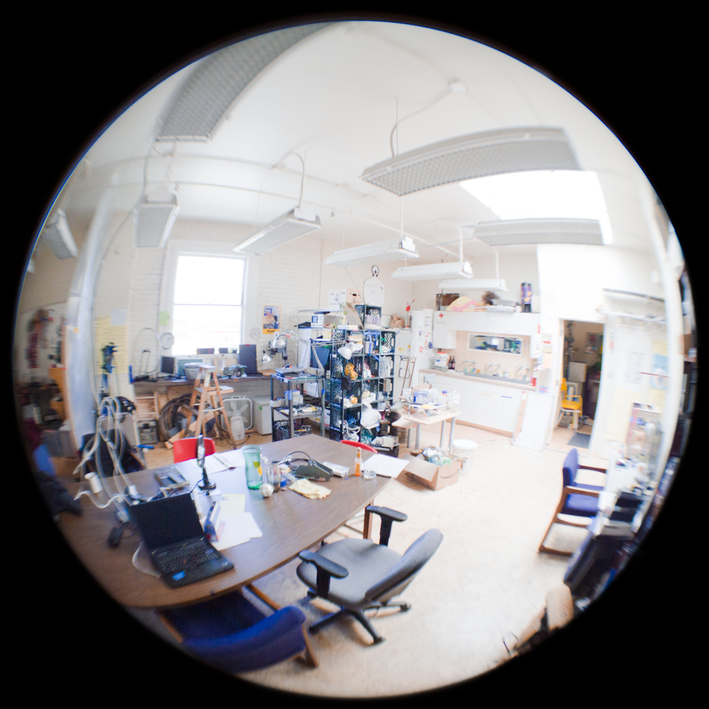 Sudoroom fisheye.jpg